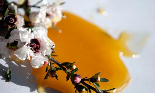 Manuka Honey 260 MGO - International Delivery
